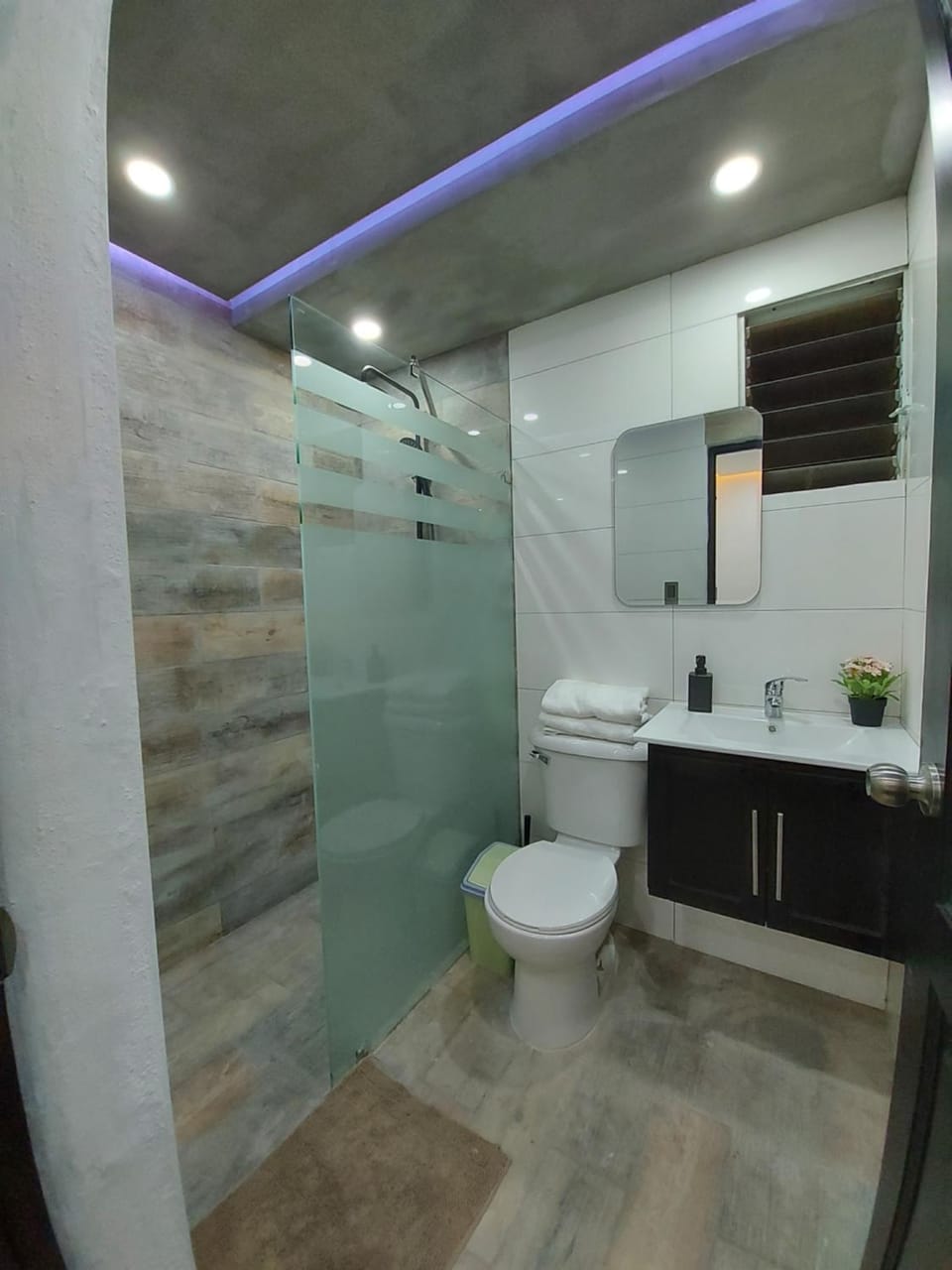 Shower, Bathroom