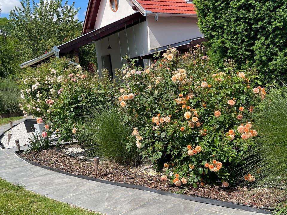 Property building, Spring, Day, Natural landscape, Garden, Garden view