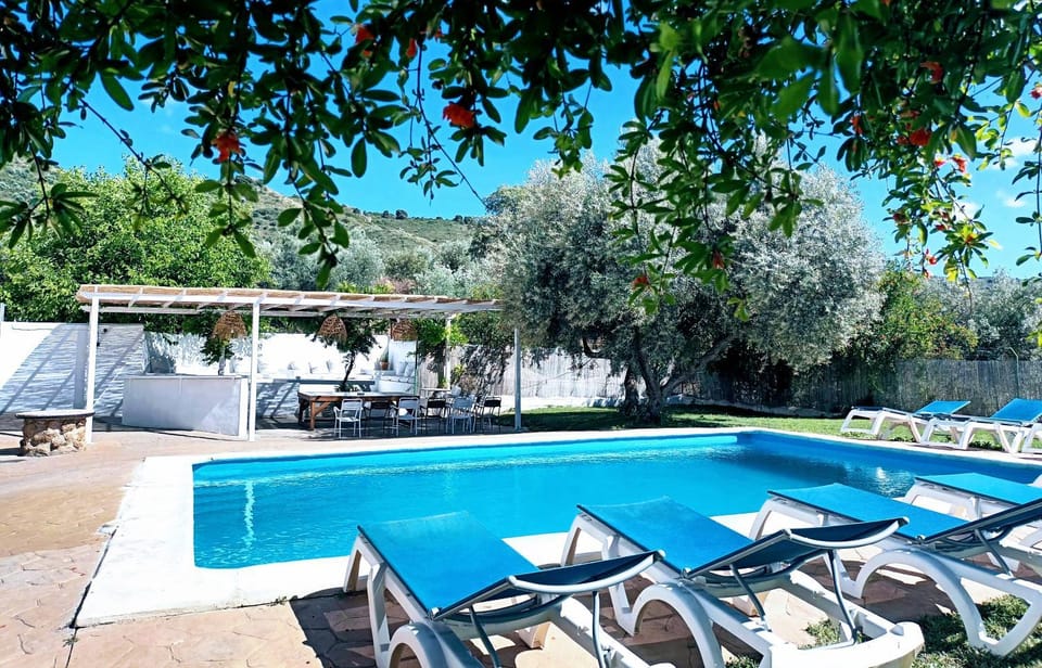 Garden, Swimming pool, sunbed