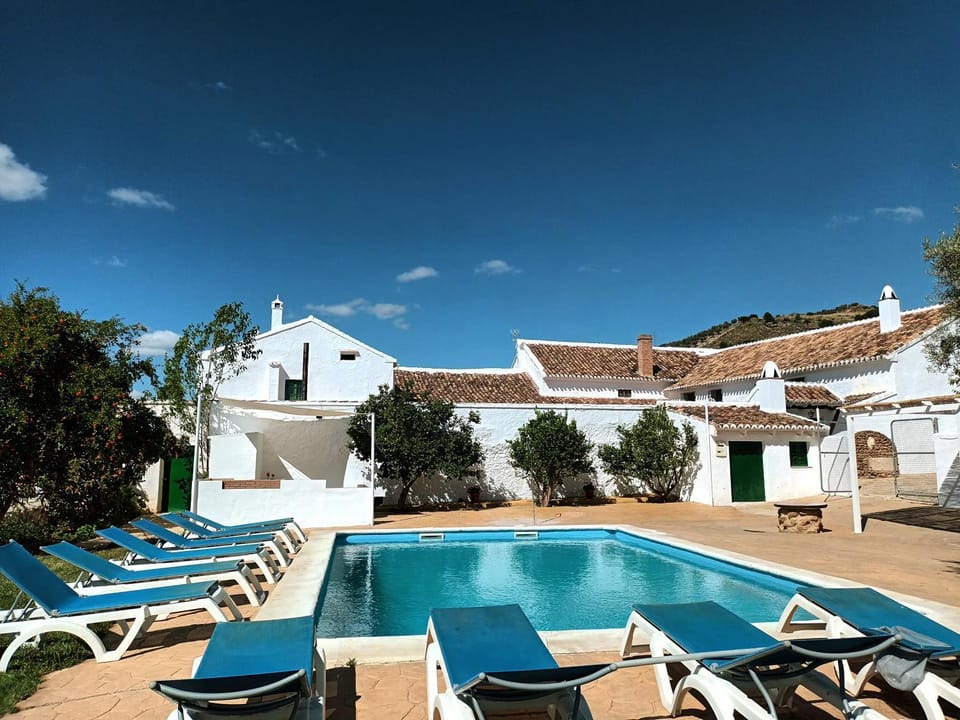Swimming pool, sunbed