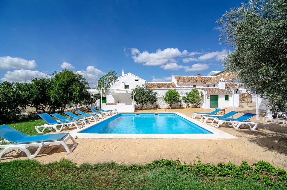 Garden, Swimming pool, sunbed