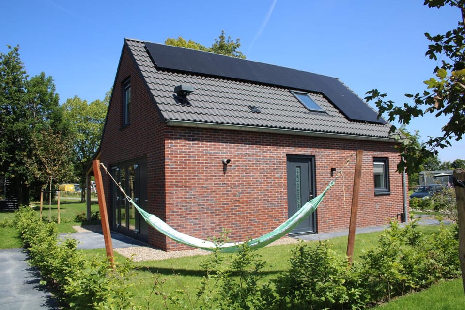 Property building, Day, Garden