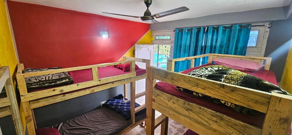 bunk bed