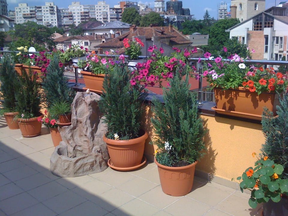 Day, Balcony/Terrace, City view