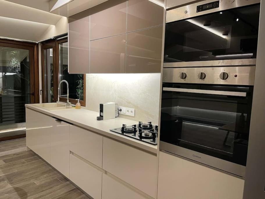 Kitchen or kitchenette, dishwasher, minibar, pet friendly, stove