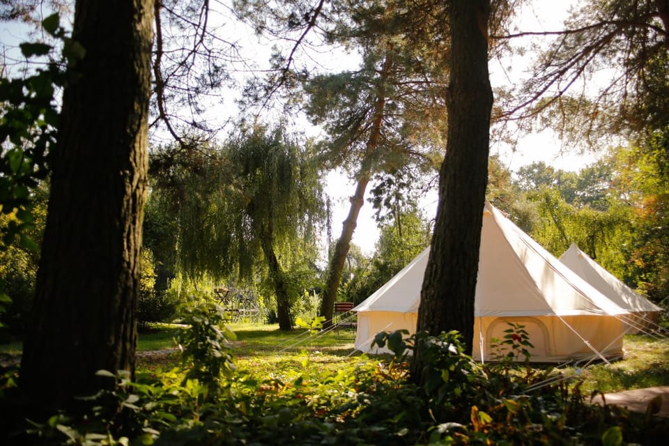 Dwór w Zabużu Hotel in Masovian Voivodeship