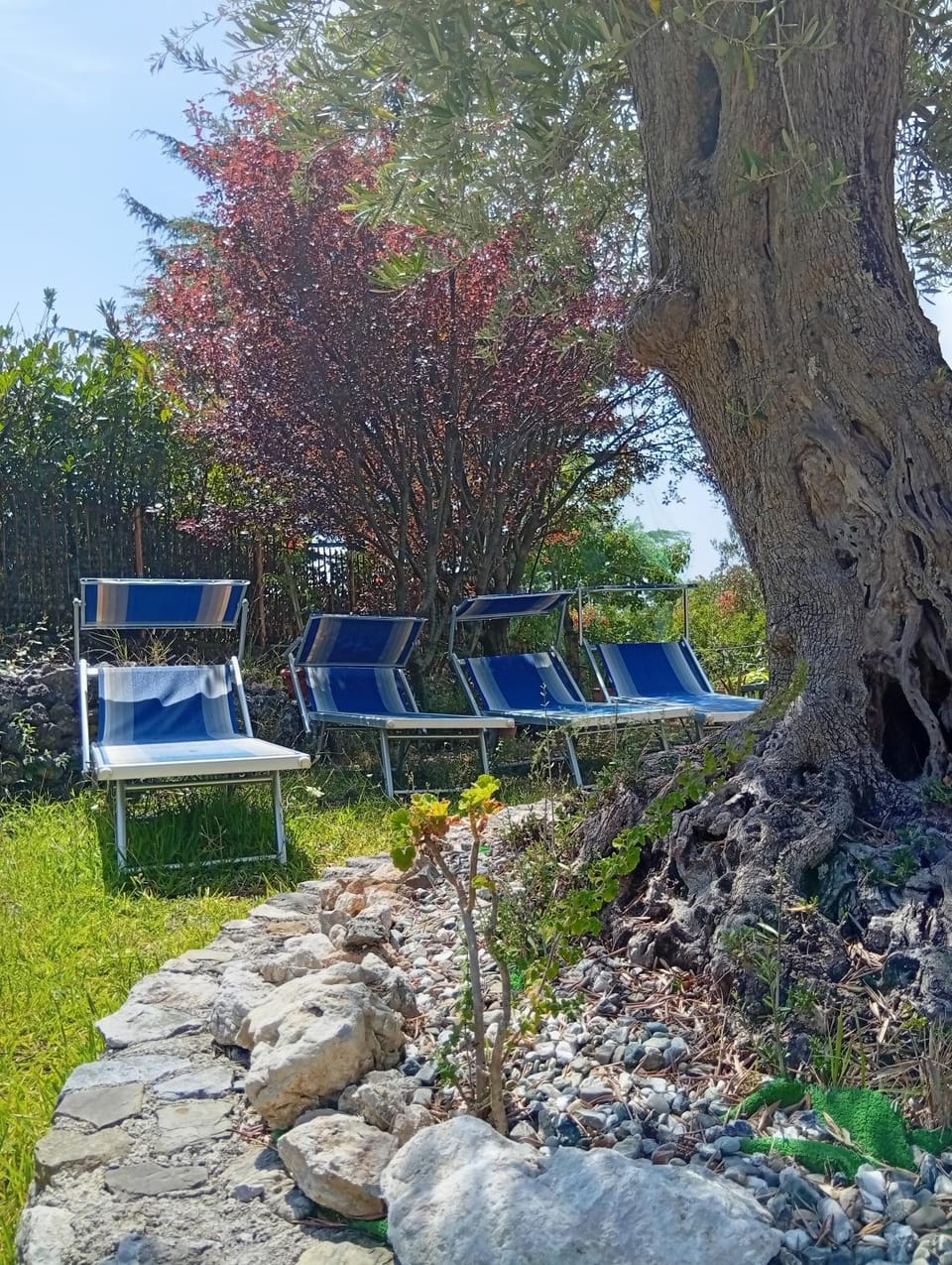 B&B da Maria Teresa - Maratea Bed and Breakfast in Maratea