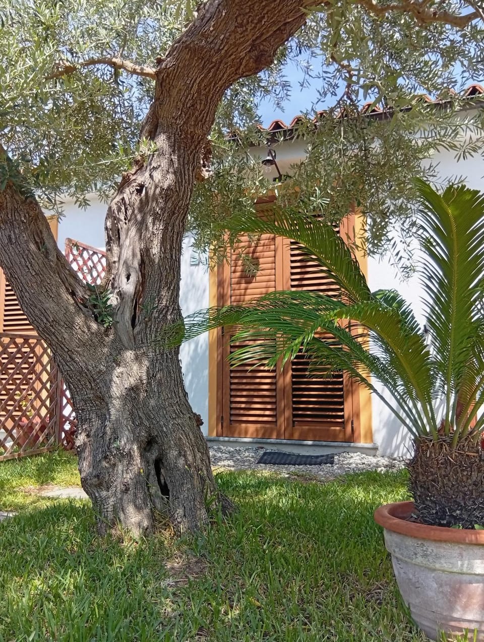 B&B da Maria Teresa - Maratea Bed and Breakfast in Maratea