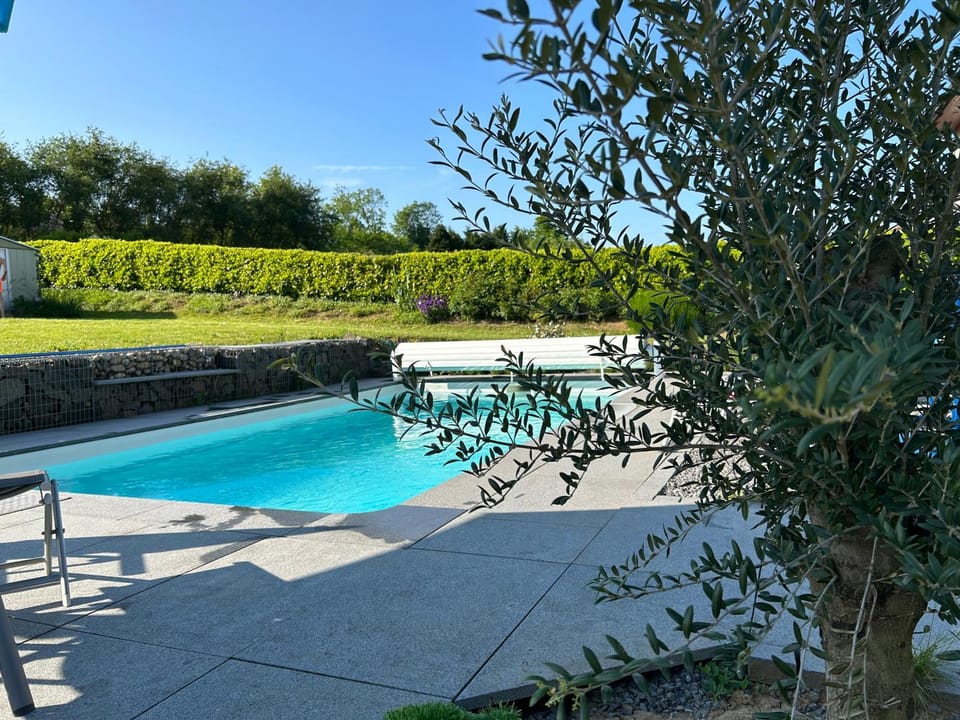 Day, Garden, Garden view, Pool view, Swimming pool, sunbed