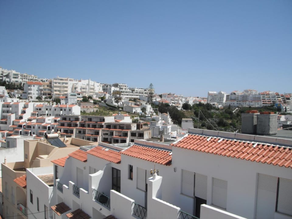 City view, Area and facilities