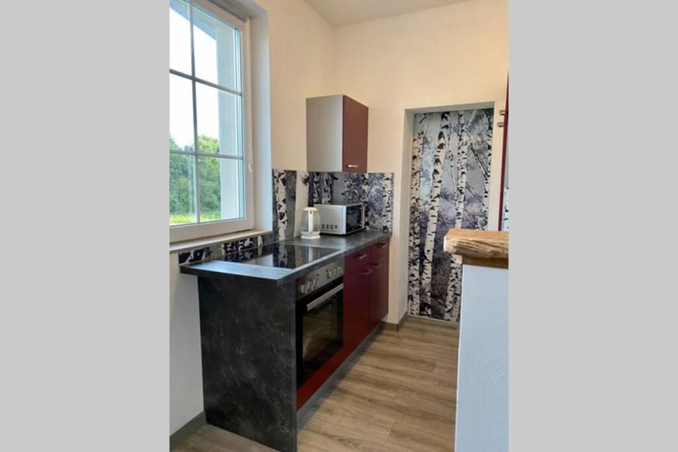 Kitchen or kitchenette, dishwasher, minibar, pet friendly, stove