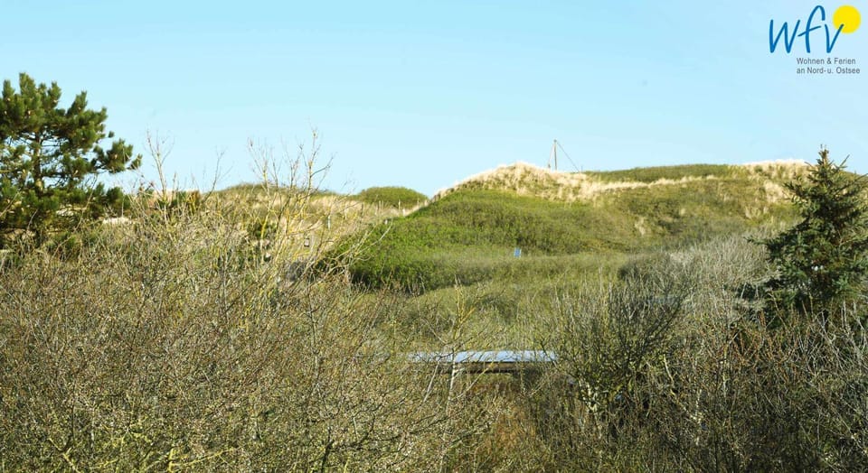 Landmark view