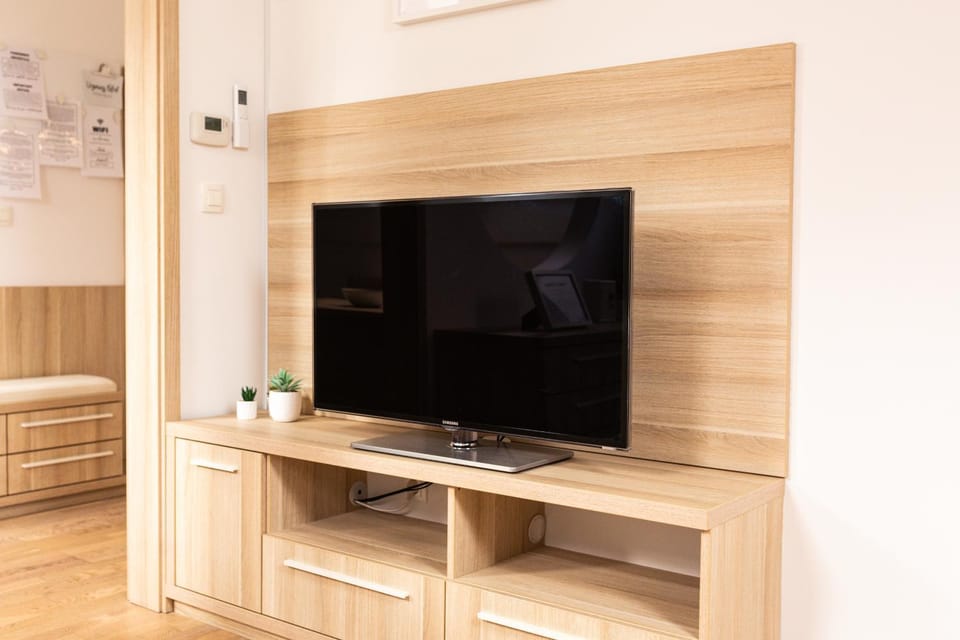 TV and multimedia