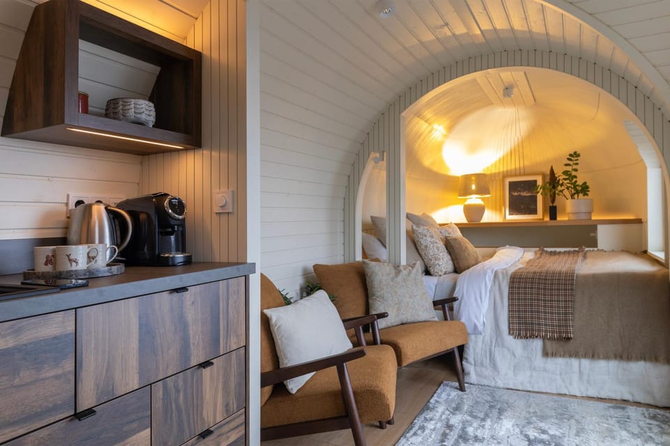 Bed, Kitchen or kitchenette, Living room, Seating area, Bedroom