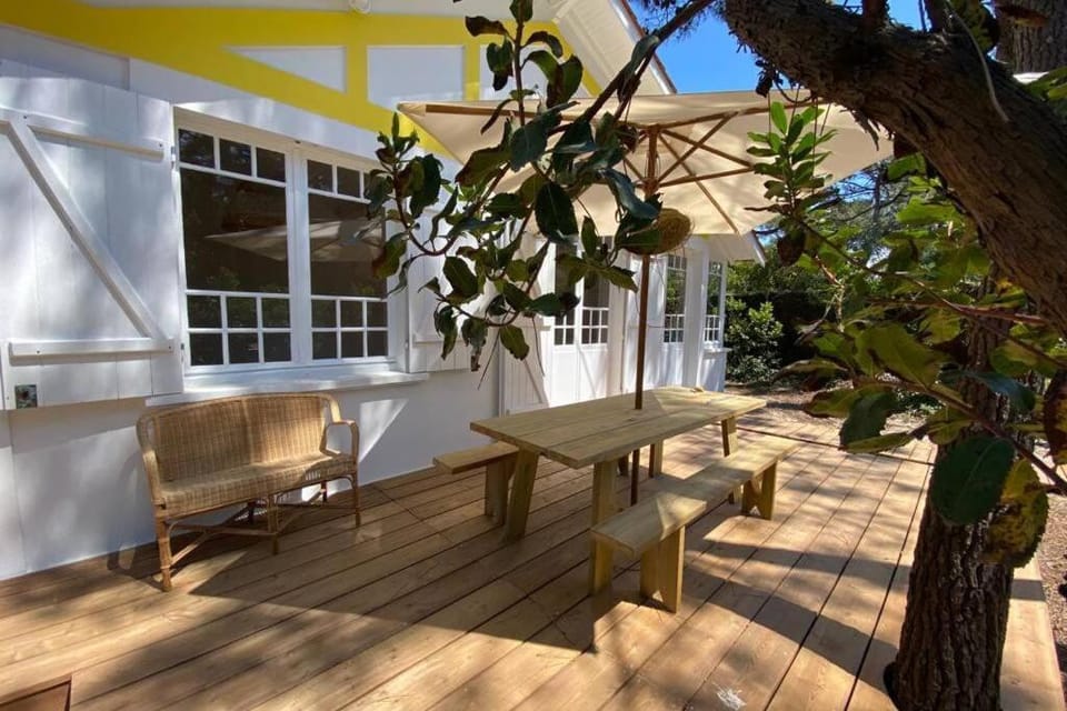 Patio, Garden