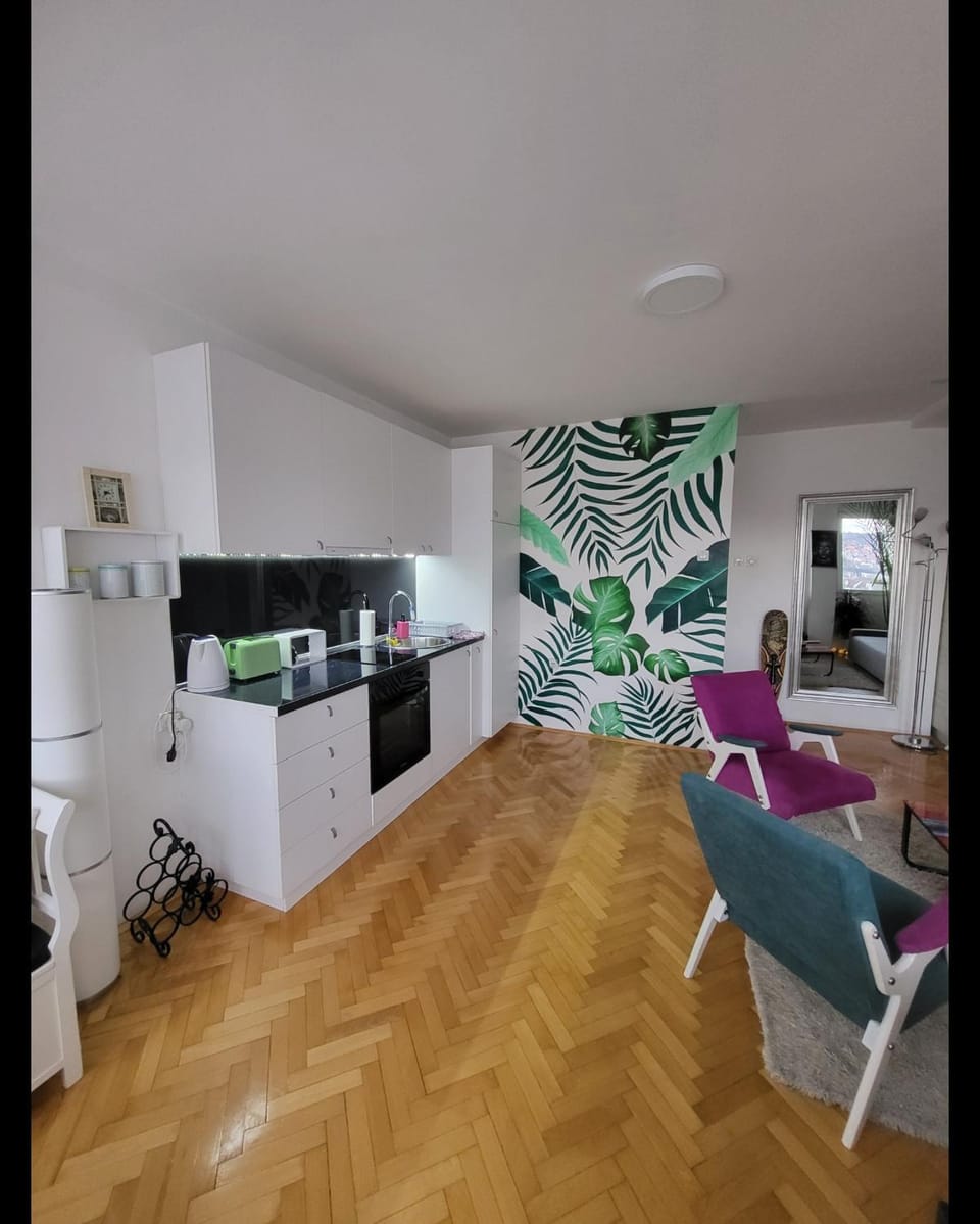 Happy Place Apartment in Serbia