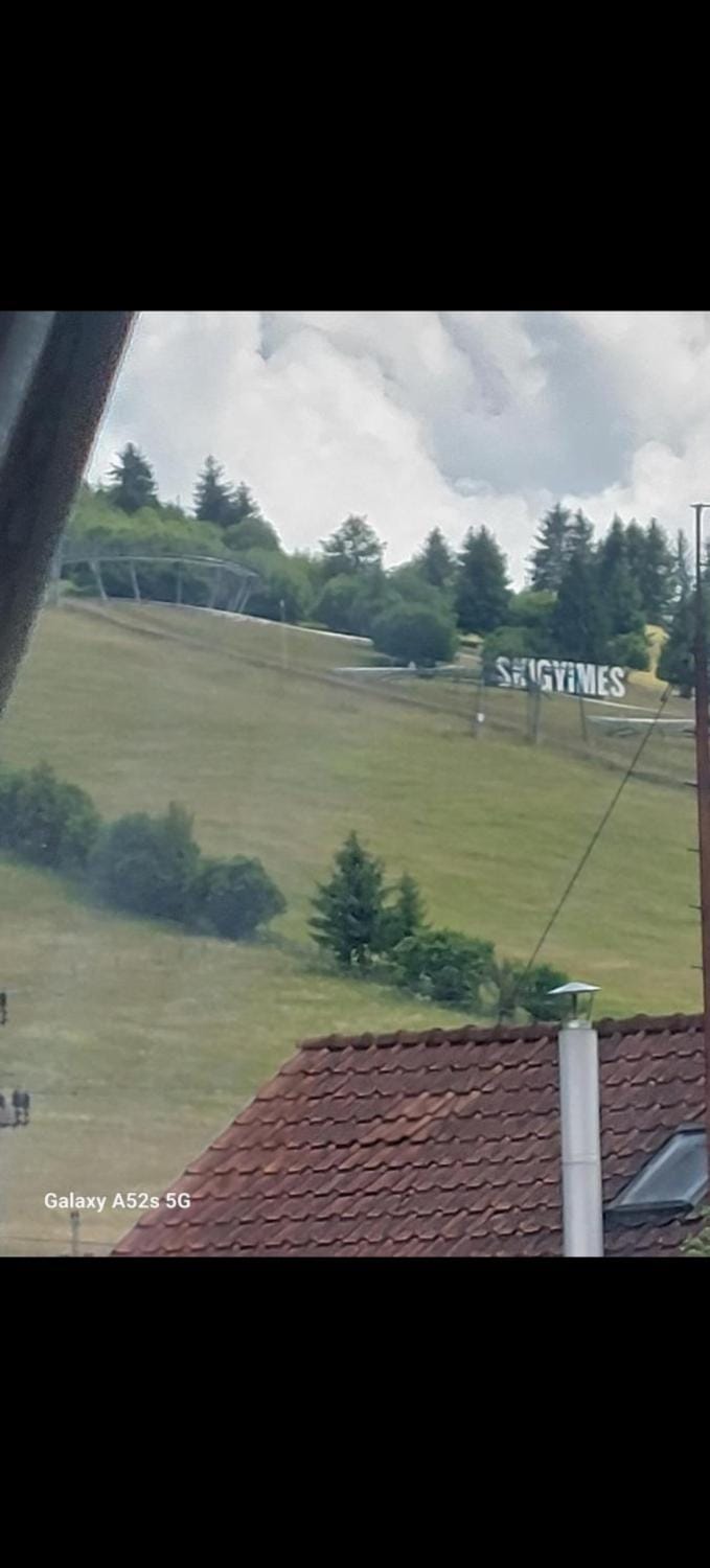 Lopofa Bed and Breakfast in Romania