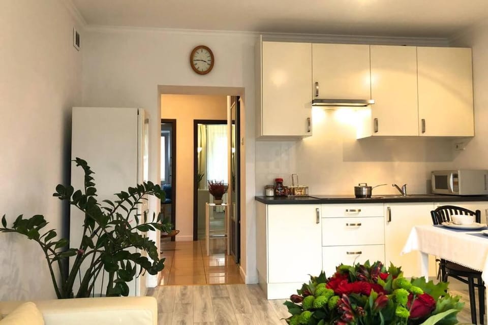 City center- large apartment with National Musee view Apartment in Warsaw