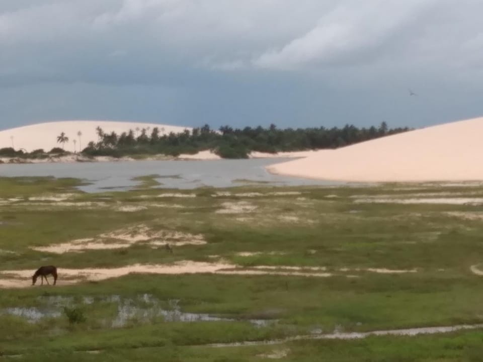 Natural landscape