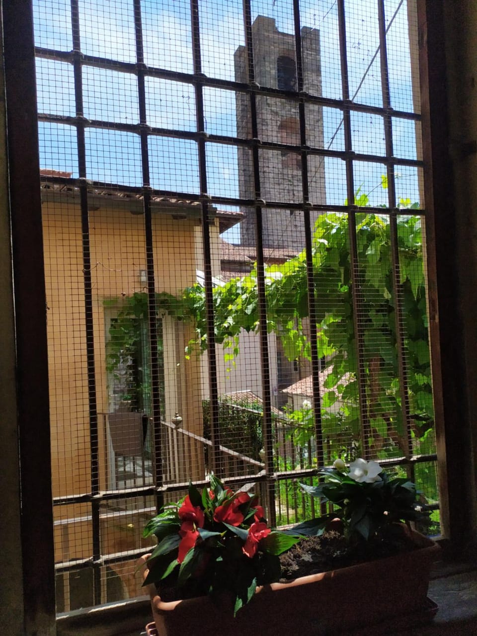 Inner courtyard view