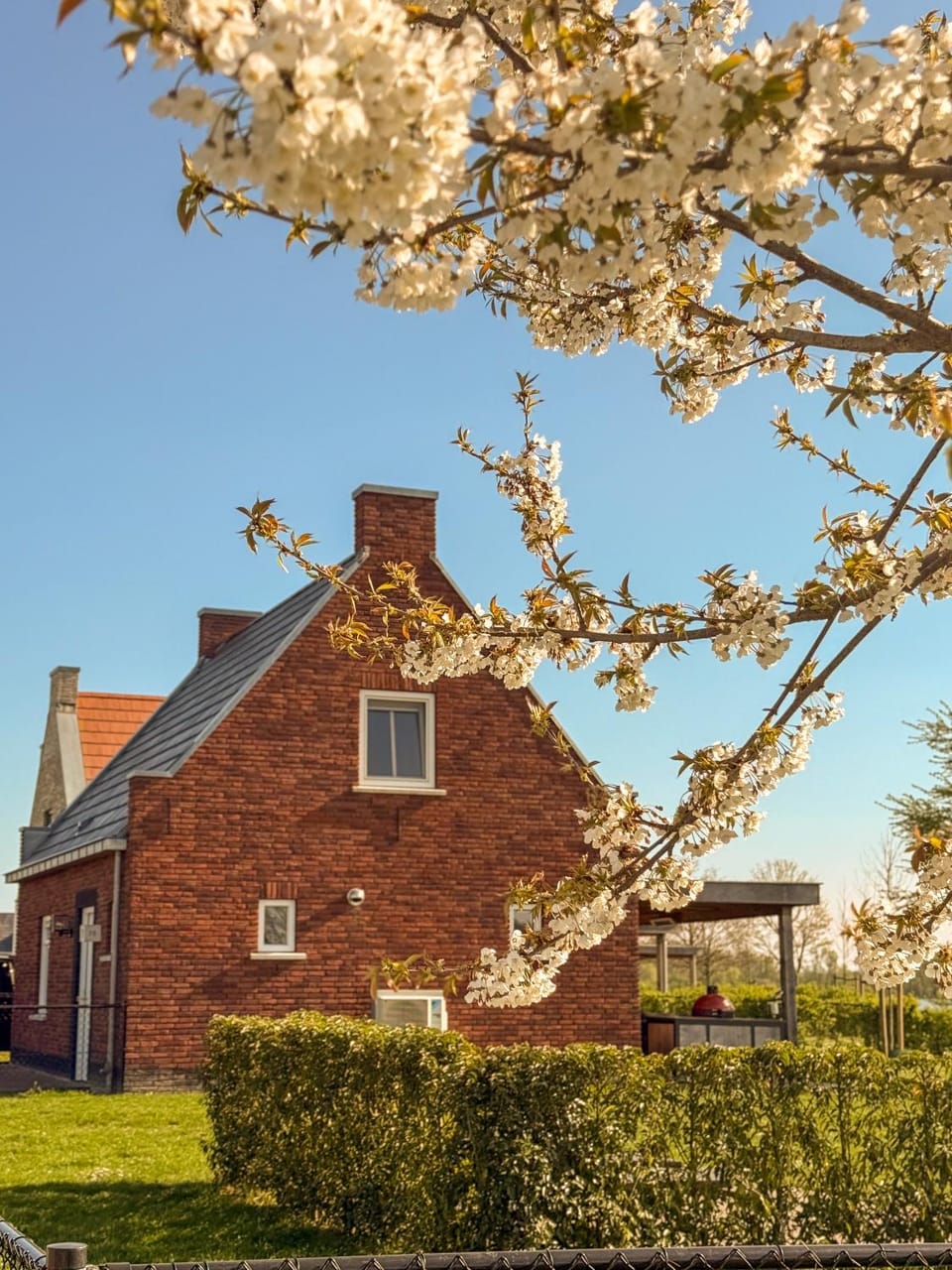 Property building, Spring, Day, Garden, Garden view