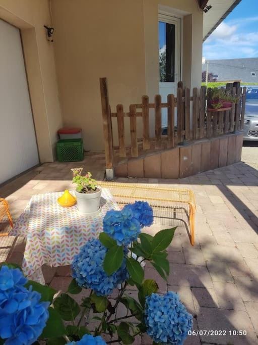 Studio Cosy proche Grand-Champ Home Sweet Home Bed and Breakfast in Brittany