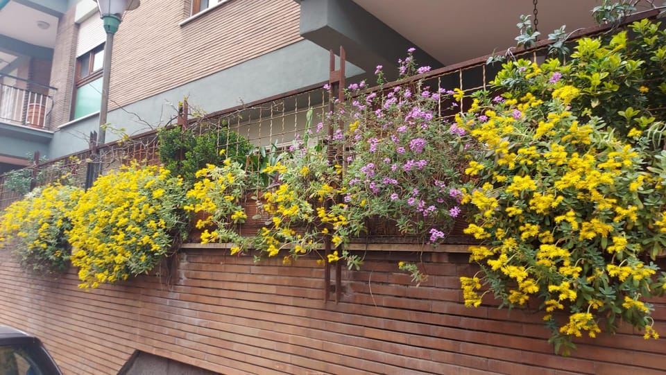 Property building, Garden, Garden view