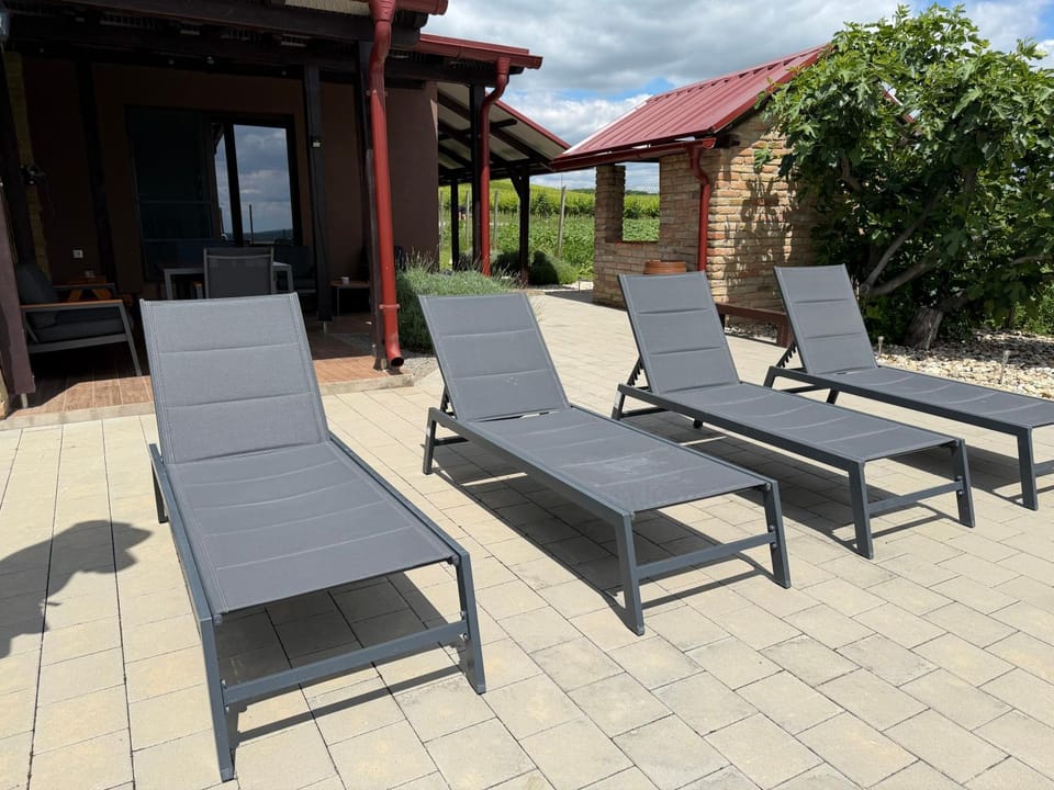 Patio, sunbed
