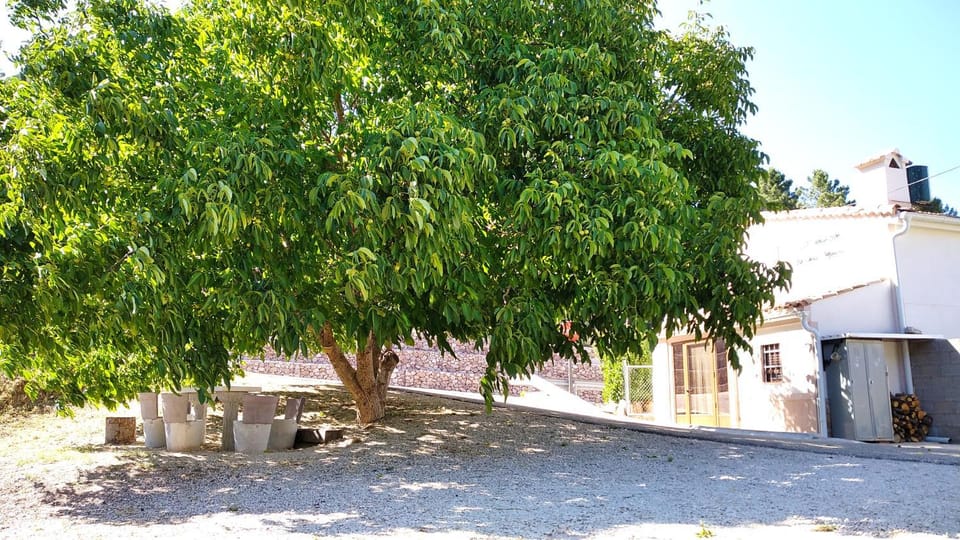 Property building, Garden view