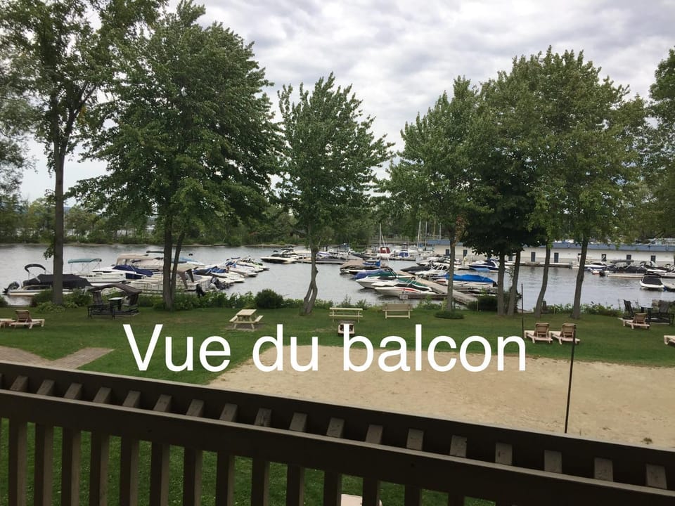 View (from property/room)