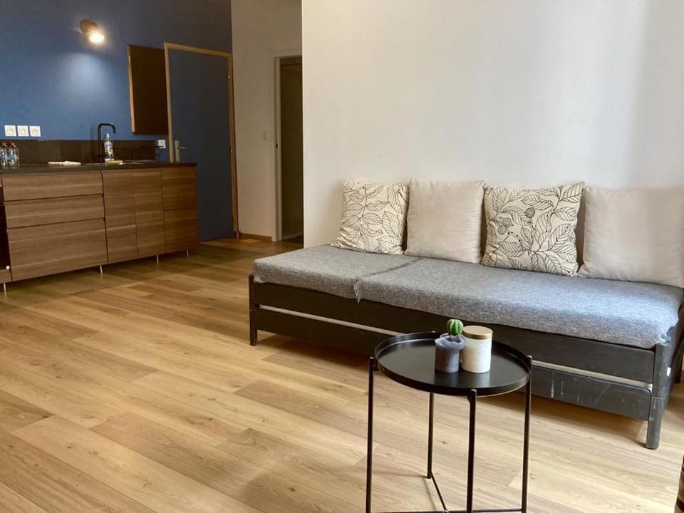Les Halles 2 - Central - Lumineux - Spacieux - Fibre Apartment in Mont-de-Marsan