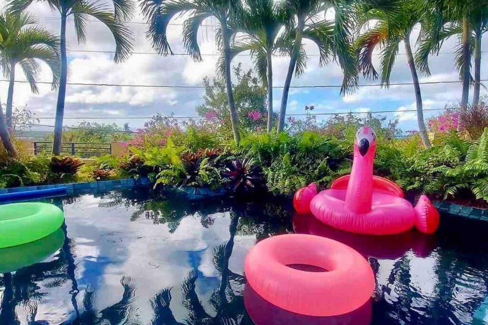 Casa de Colores, Vieques Villa in Puerto Diablo