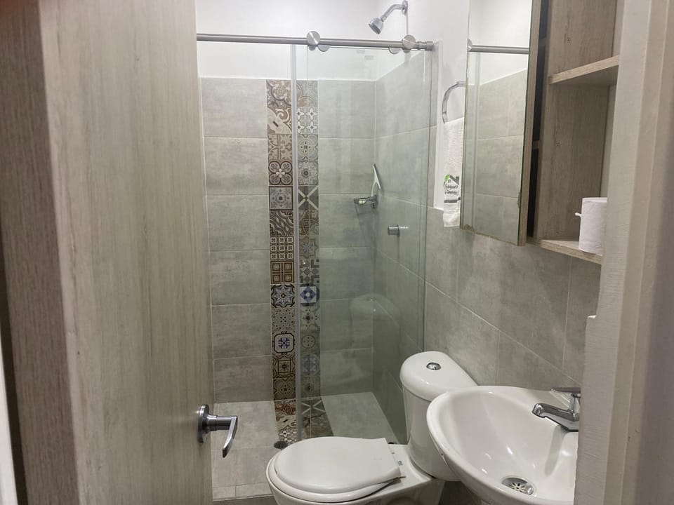 Shower, Toilet, Bathroom, bidet, towels