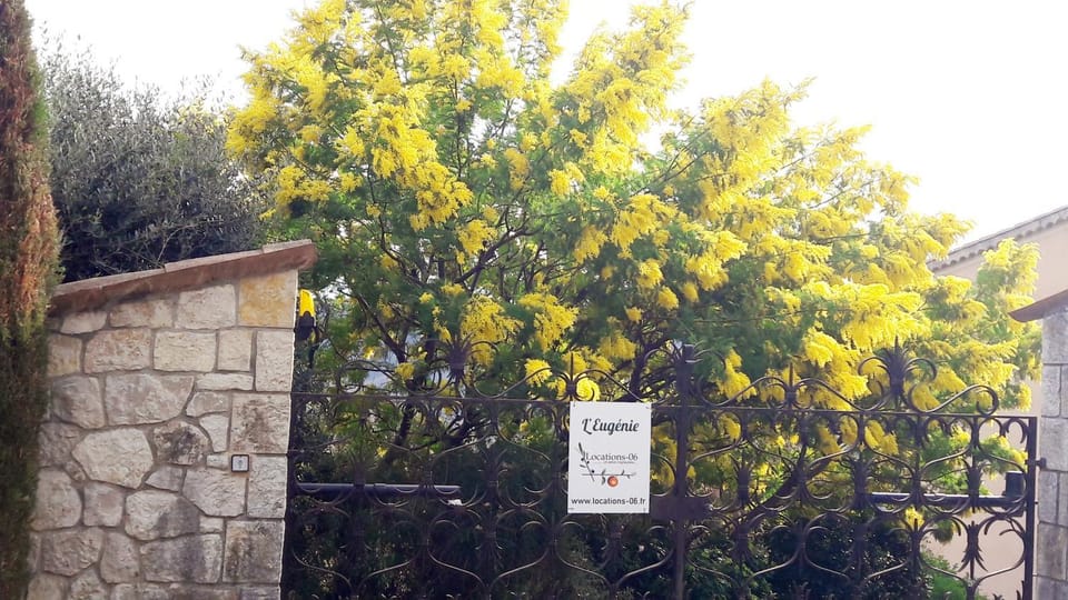Garden, Other
