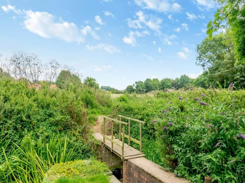Natural landscape, Garden view