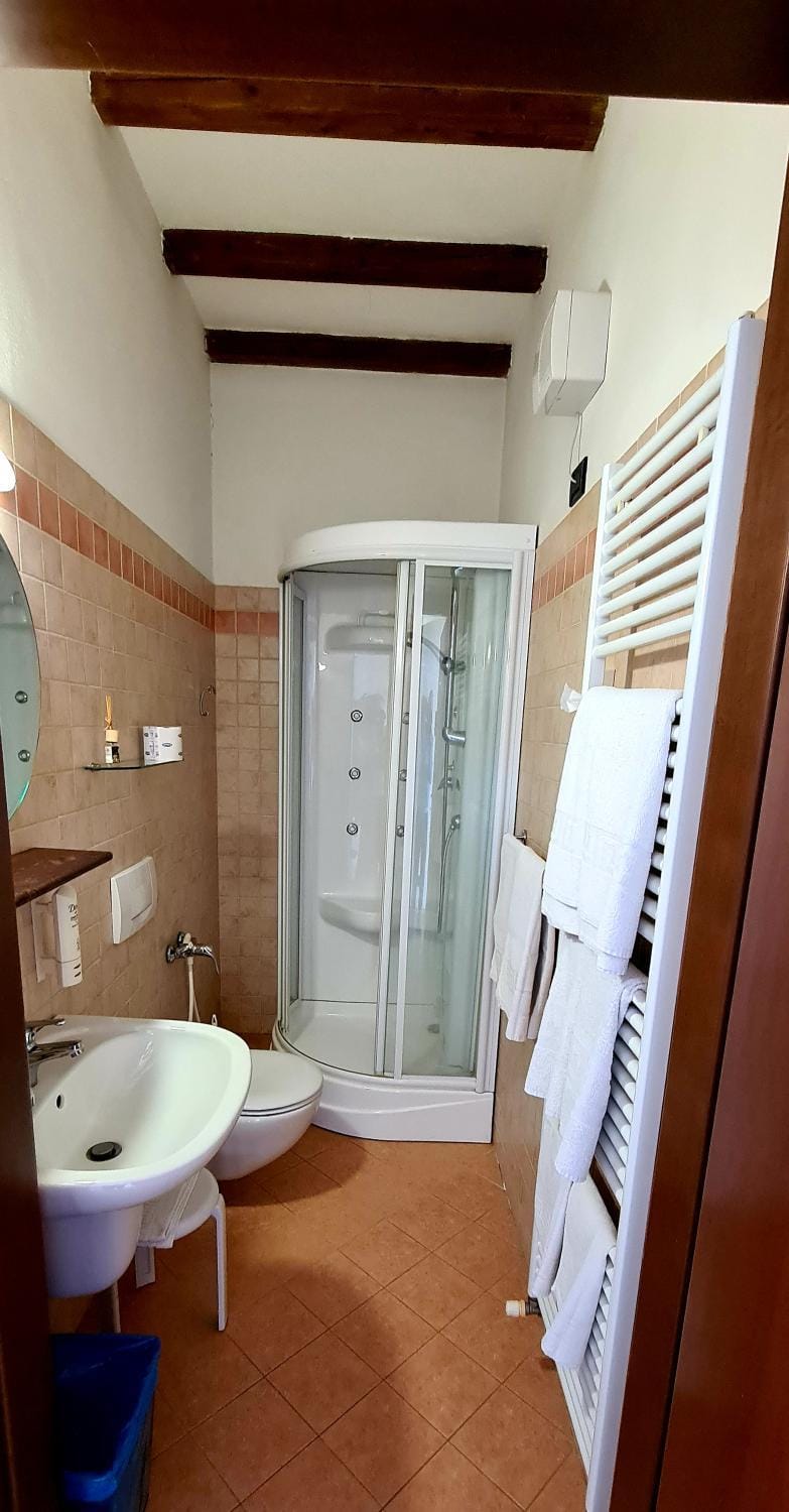 Shower, Bathroom, towels