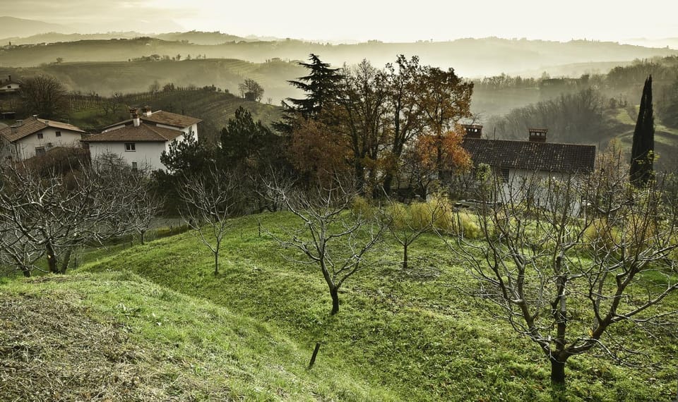 View (from property/room), Autumn