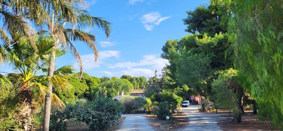 Spring, Day, Neighbourhood, Natural landscape, Garden, Garden view
