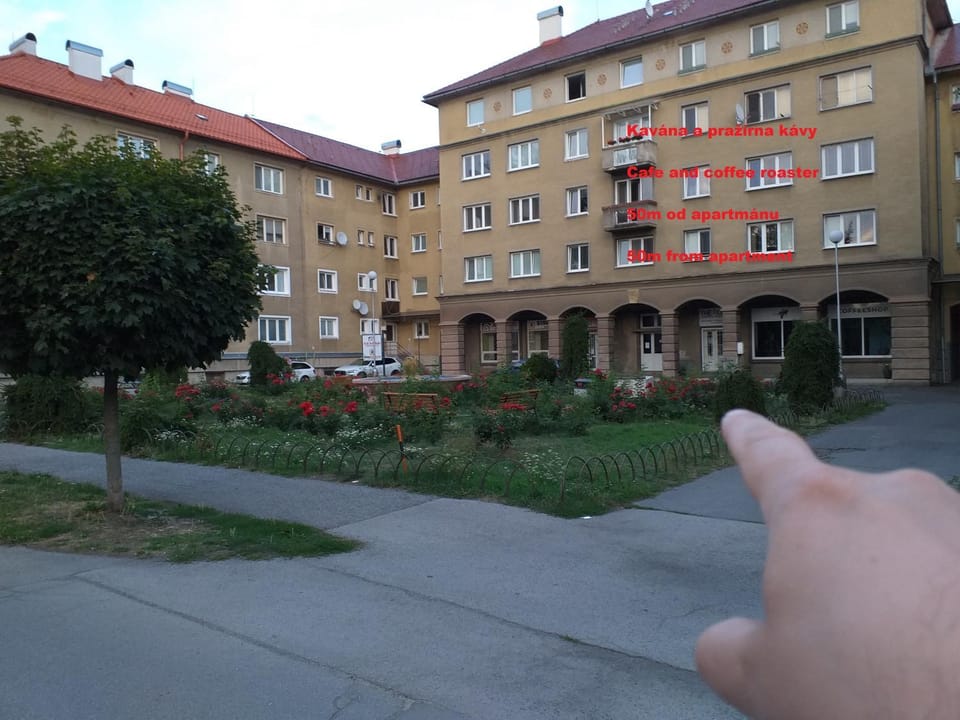 Off site, Entertainment