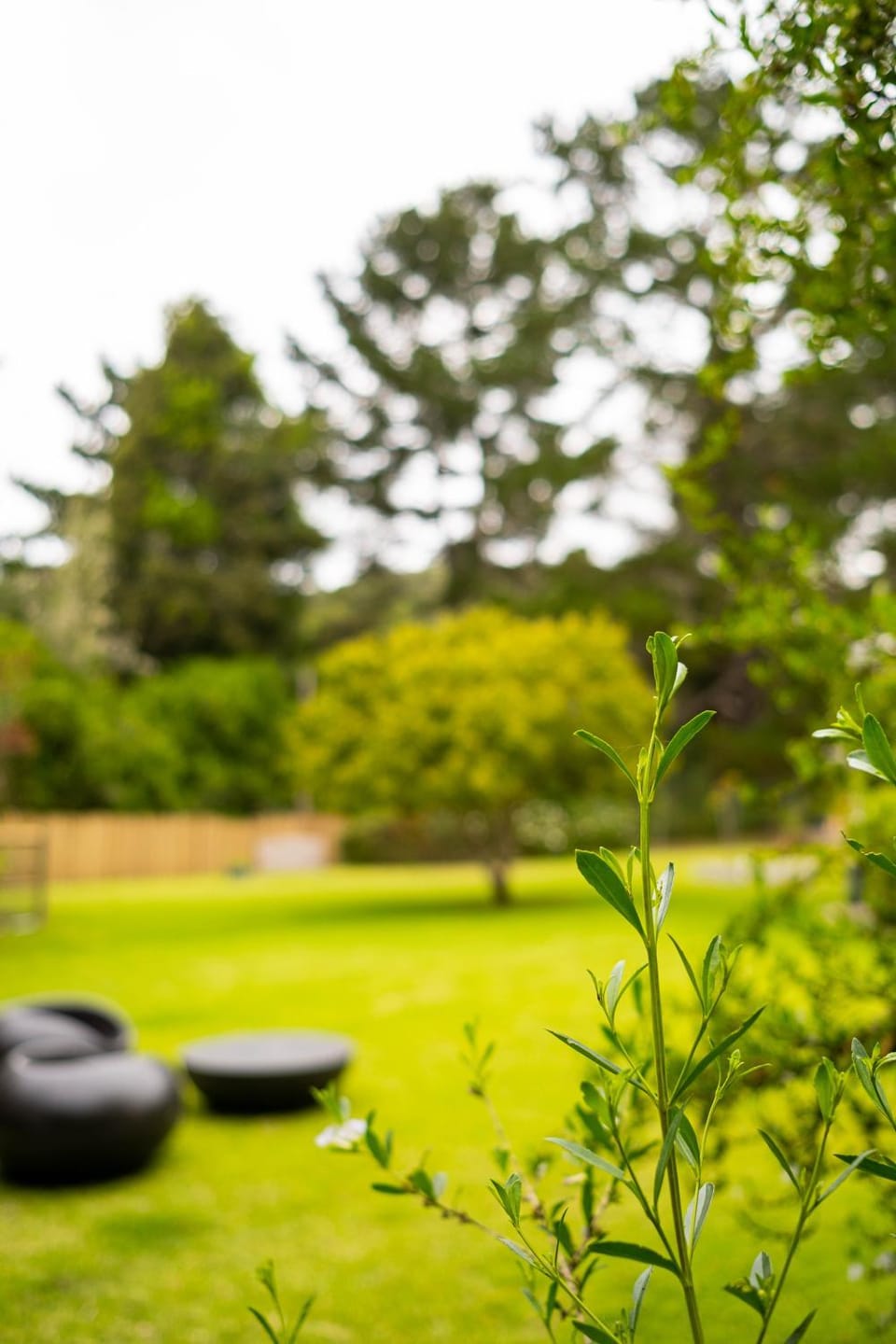 Day, Natural landscape, Garden, Garden, Garden view