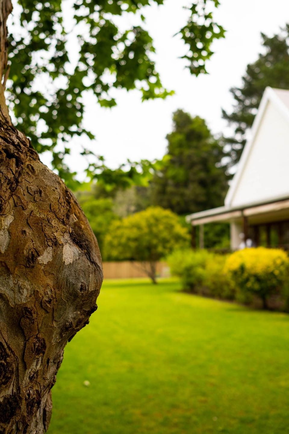 Property building, Natural landscape, Garden, Garden view