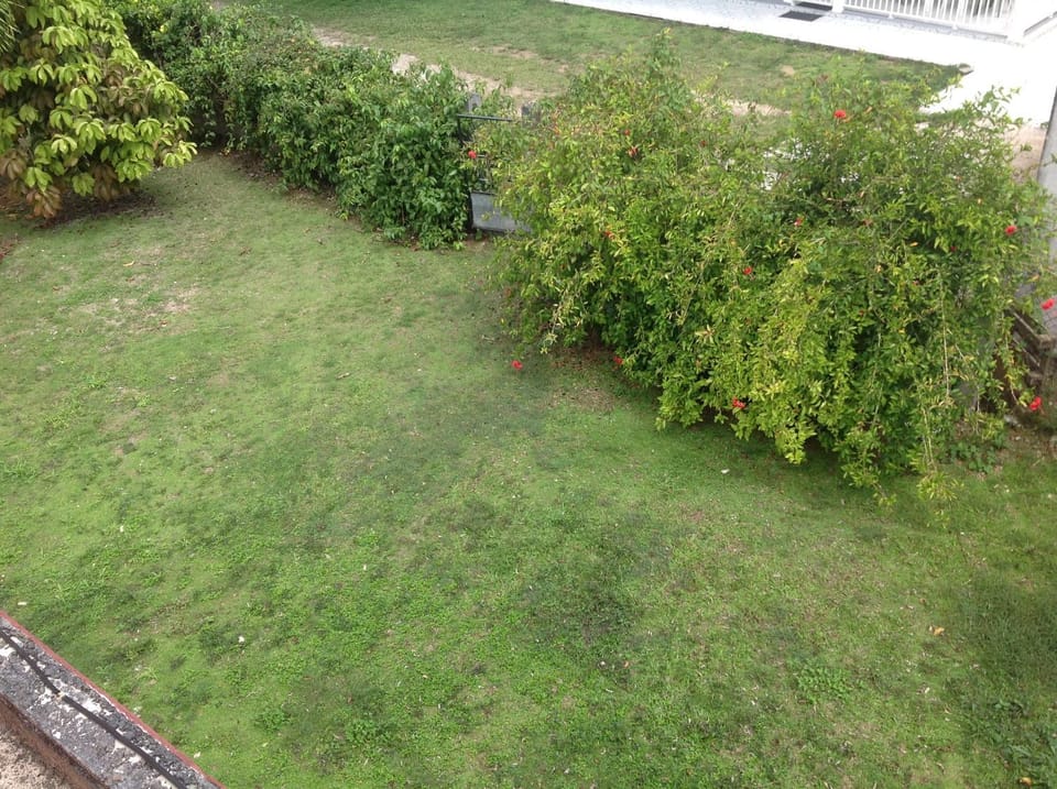 Garden, Garden view