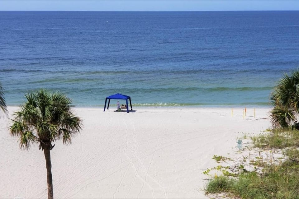 Beach Front One Bedroom Condo Paradise. Ground Floor. Apartment in Longboat Key