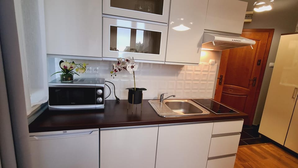 Apartament z tarasem, Przy Szlaku Apartment in Lower Silesian Voivodeship