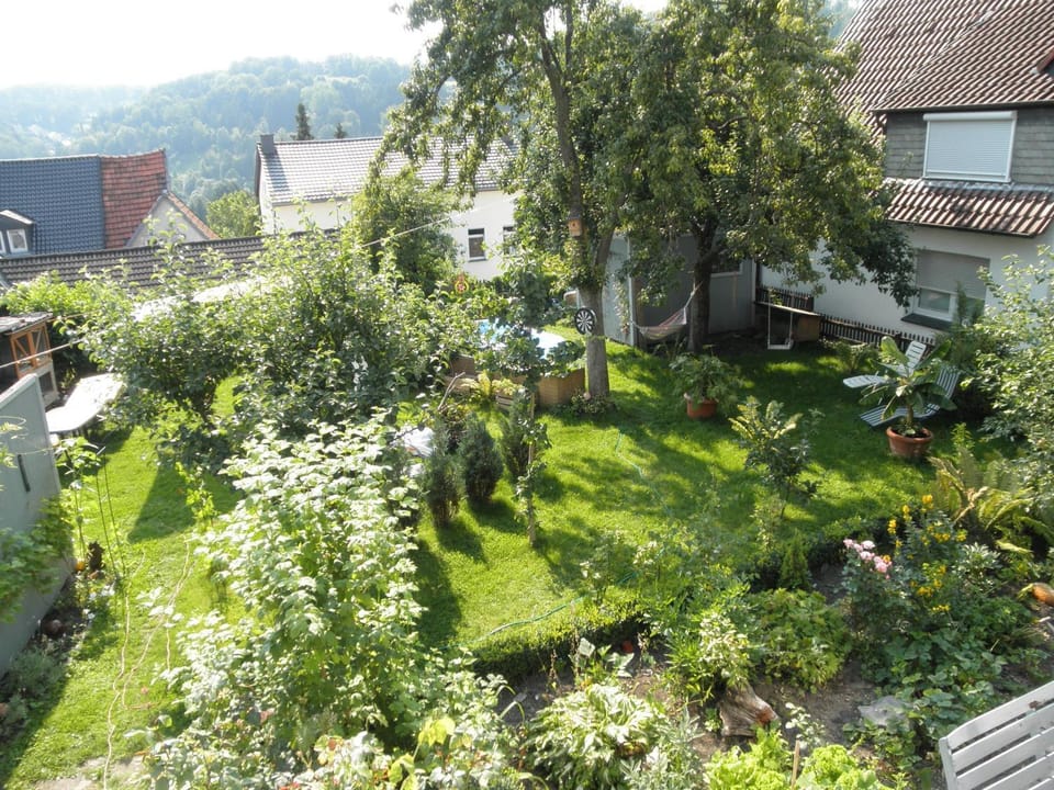 Garden, Garden, Garden view