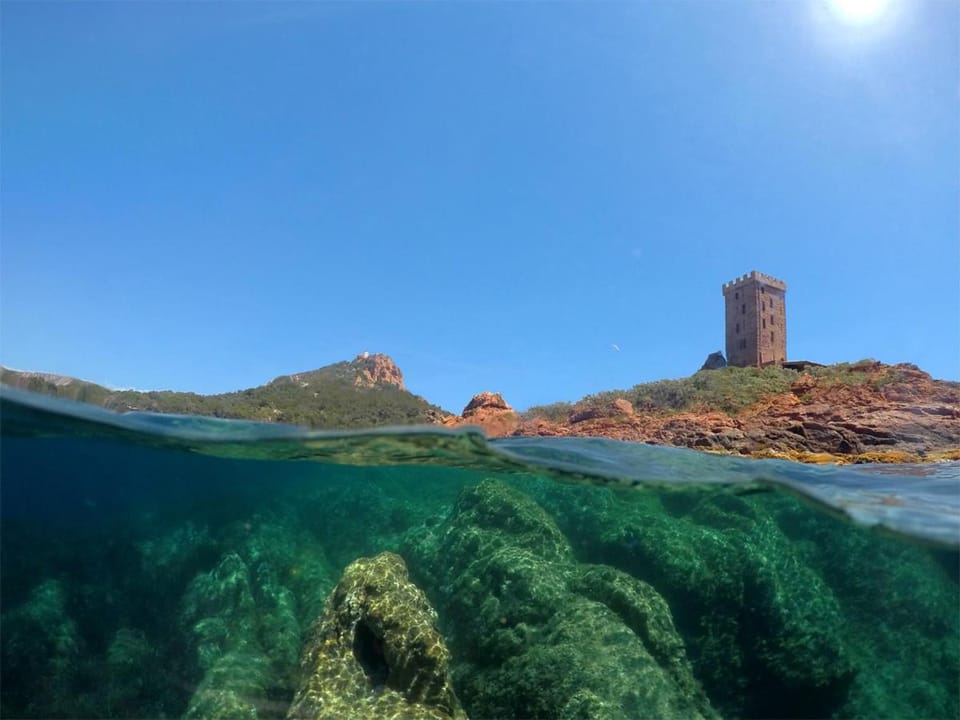 Diving