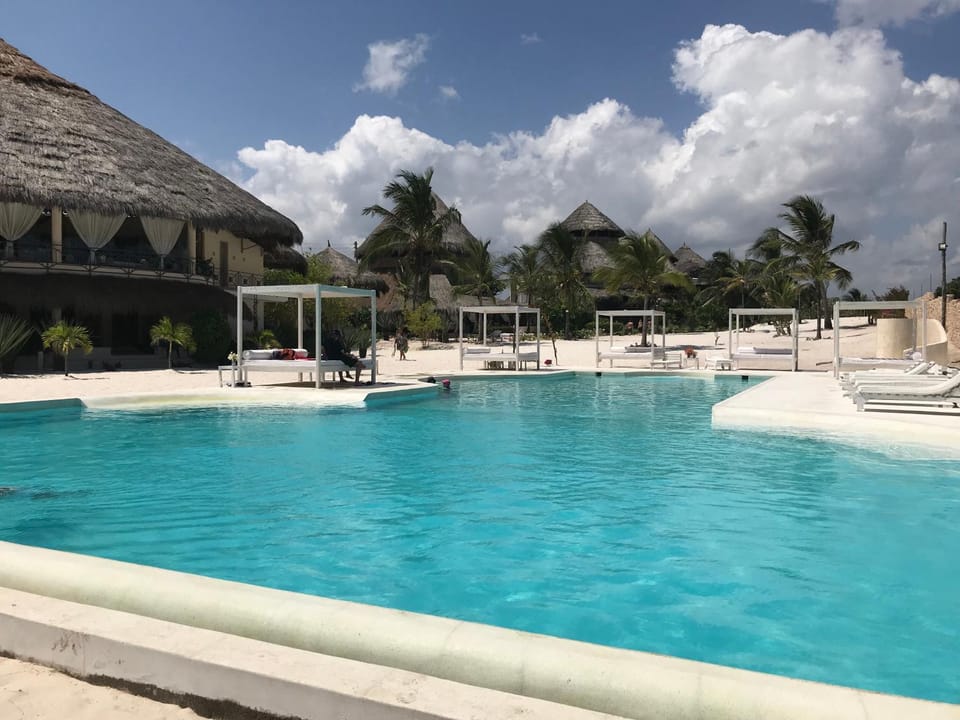 Natural landscape, Swimming pool, sunbed