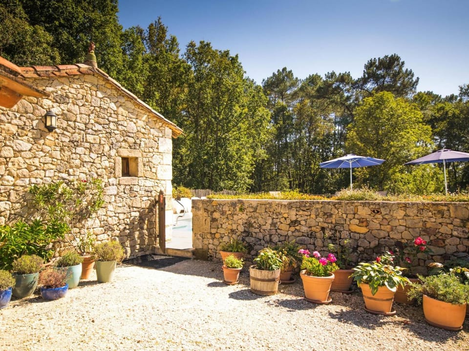 Summer, Garden