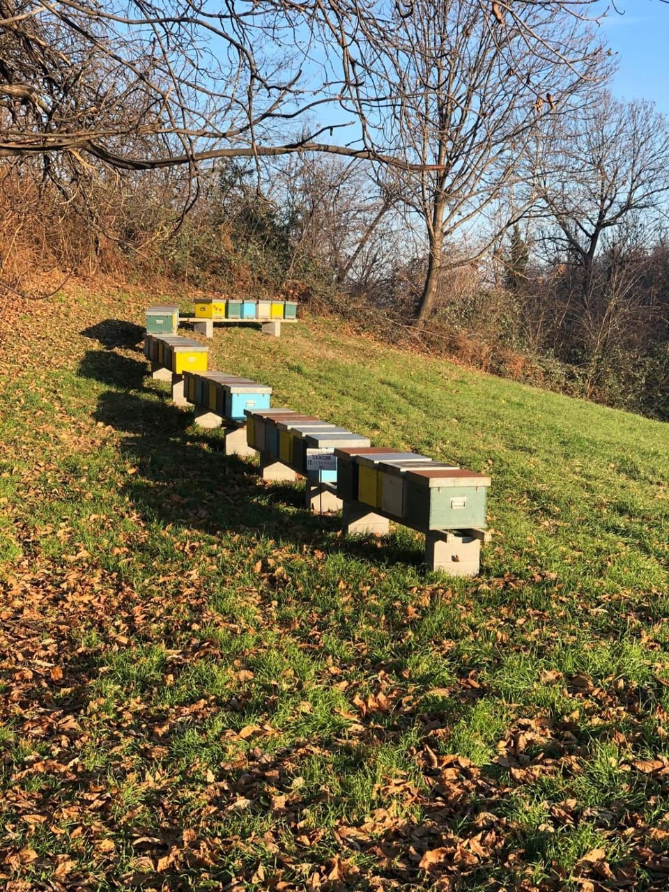 Il Baco Da Seta Farm Stay in Piedmont