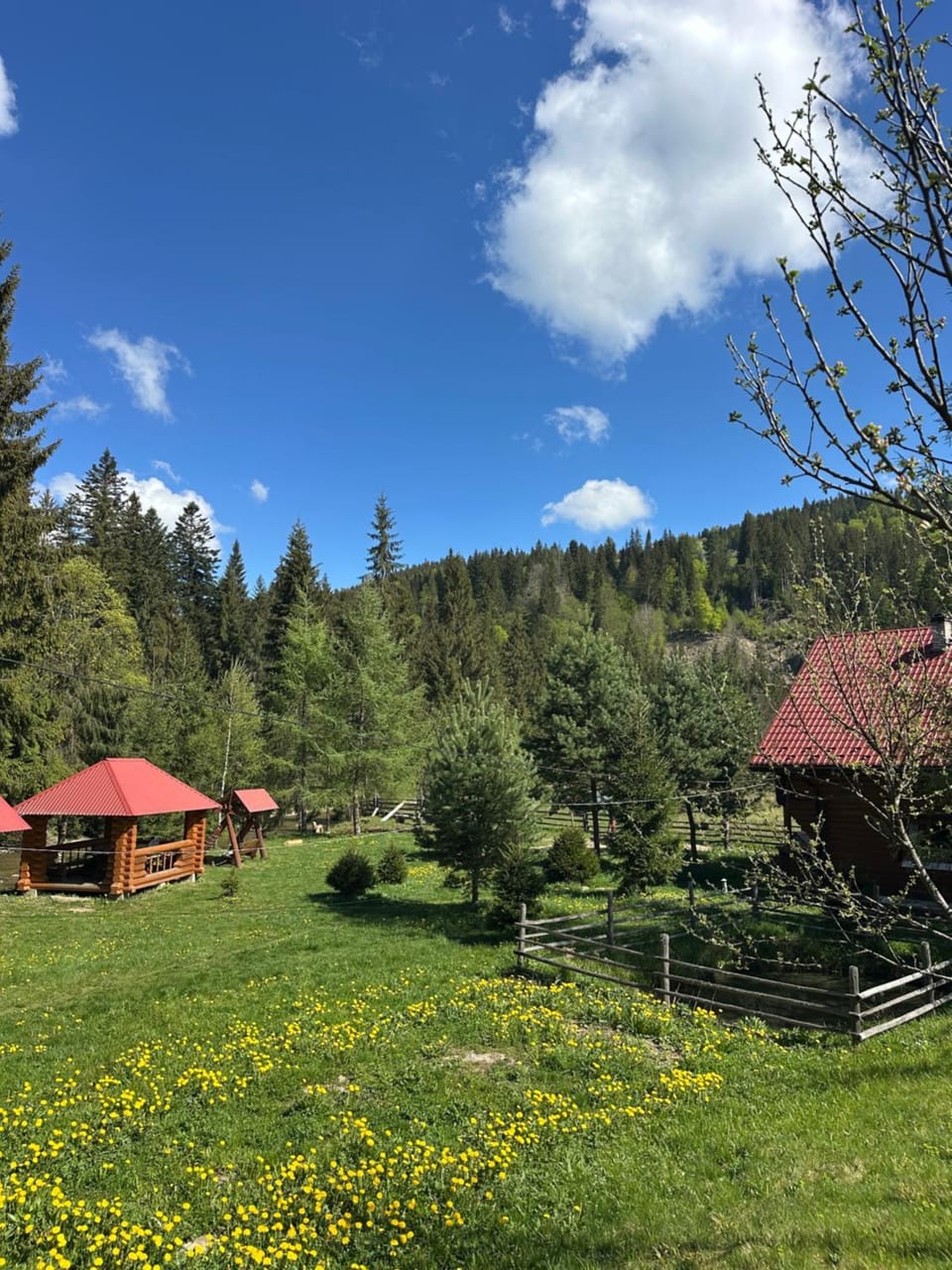 Spring, Day, Natural landscape, Mountain view